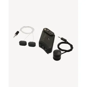 L.R. Baggs HiFi Duet